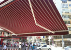 gölgel mersin